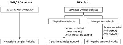 Anti-GAD65 autoantibody levels measured by ELISA and alternative types of immunoassays in relation to neuropsychiatric diseases versus diabetes mellitus type 1